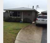 3 bedroom plus sleep out, Neri Cres