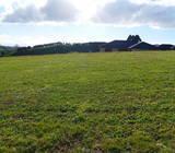 Ballintoy Park, Welcome Bay, Stage 4