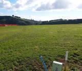 Ballintoy Park, Welcome Bay, Stage 4